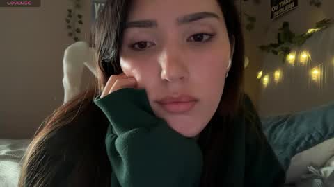 Anisa Moan from LovenseWet from Tip MenuOpen for Private online show from April 21, 12:11 pm