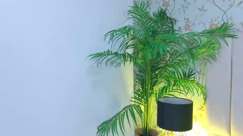 Dania Lpez online show from March 19, 12:42 pm