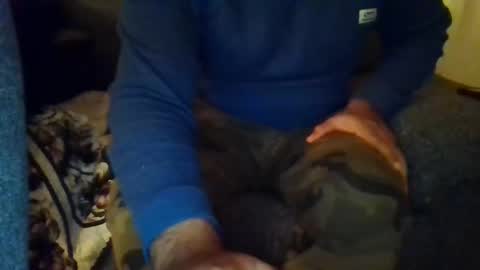 DesiGuy online show from December 8, 8:47 pm