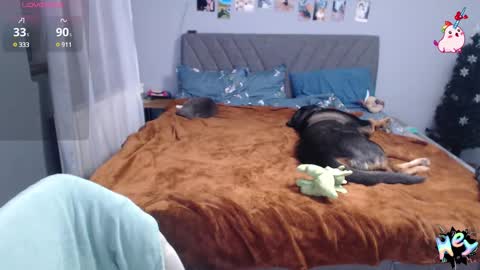 Anadirectgirl online show from January 8, 6:41 pm