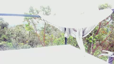  Anna Weells  online show from March 30, 2:29 pm