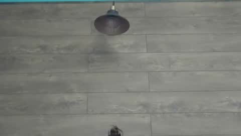 annasplash online show from March 12, 5:46 am