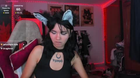 Snapshot of anneharpeer chatting on April 7, 5:41 am anneharpeer online show from April 7, 5:41 am