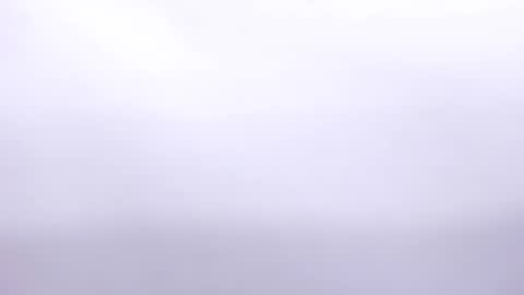 Annie online show from February 2, 7:04 pm