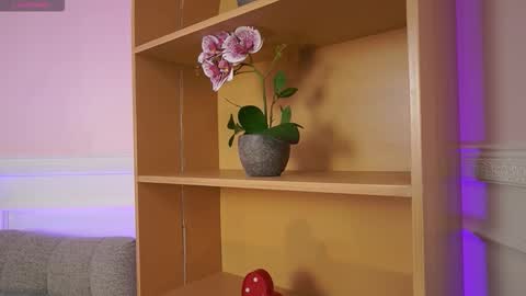 Ana online show from November 7, 11:54 am