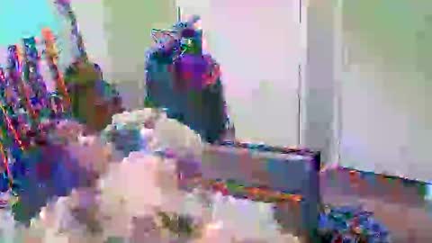 Snapshot of anssyboy696 chatting on October 11, 5:22 pm anssyboy696 online show from October 11, 5:22 pm