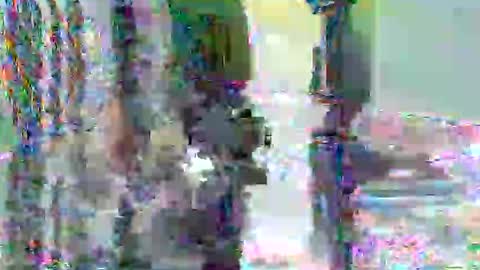 anssyboy696 online show from November 7, 7:36 pm