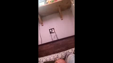 Snapshot of anthony9168 chatting on March 25, 11:22 pm anthony9168 online show from March 25, 11:22 pm