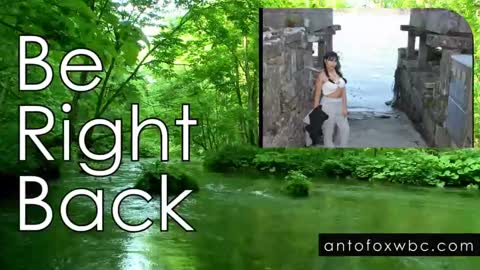 Anto online show from January 24, 10:53 am