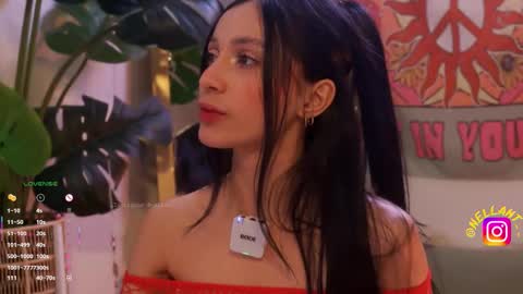 Nell. online show from February 13, 7:43 pm