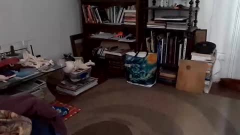 Snapshot of antonino85 chatting on December 24, 7:11 pm antonino85 online show from December 24, 7:11 pm