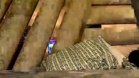 anubis_inpu online show from November 6, 7:53 am