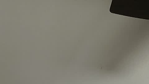 anydaynow2024 online show from December 15, 5:39 pm