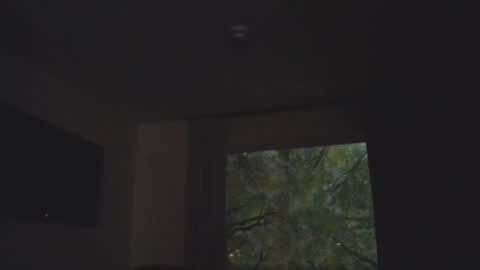 Daddy online show from November 5, 1:38 am