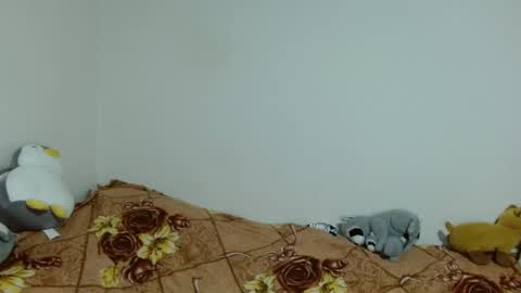 Snapshot of apache_710 chatting on November 20, 2:34 am apache_710 online show from November 20, 2:34 am