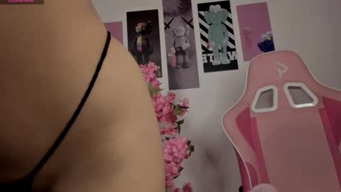 Snapshot of applebunny chatting on March 13, 10:49 pm online show from March 13, 10:49 pm