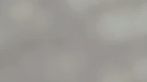 April online show from January 15, 4:57 am