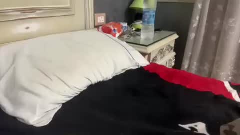 Egyptian Man online show from January 29, 1:05 am