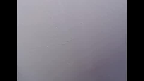Snapshot of ariannaloovel chatting on April 27, 5:55 pm ariannaloovel online show from April 27, 5:55 pm