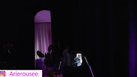 Snapshot of arie_rousee_sub chatting on January 15, 10:46 pm ARIE online show from January 15, 10:46 pm