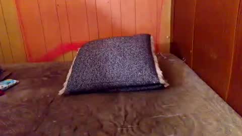 ariellejade06 online show from February 19, 6:26 pm