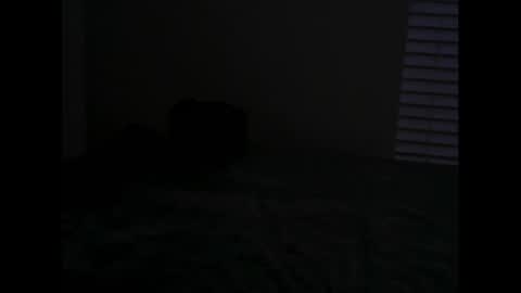 Arkk Angel online show from January 20, 10:51 am