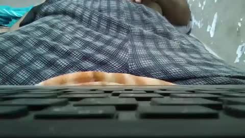 Snapshot of art_max99xxx chatting on January 11, 11:13 pm art_max99xxx online show from January 11, 11:13 pm