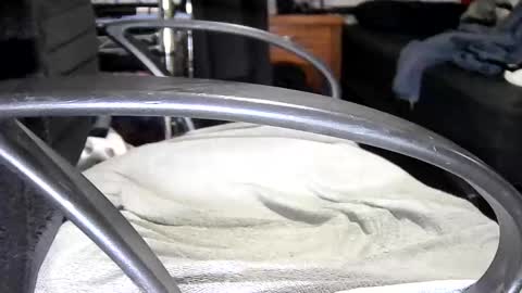 arucard_80 online show from September 16, 7:48 pm