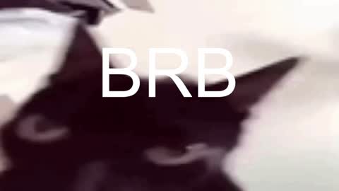 AshleyAshe  online show from January 17, 11:29 pm