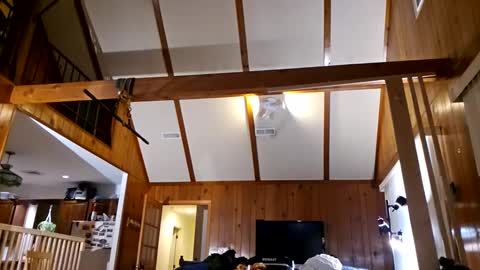 Snapshot of ashelynngrey1986 chatting on February 27, 2:21 am Ashelynn Grey online show from February 27, 2:21 am