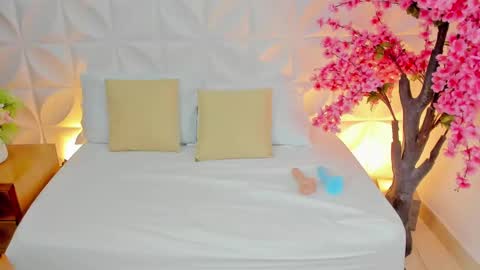 Snapshot of ashleey_sweet_ chatting on February 9, 3:00 am ASHLEY online show from February 9, 3:00 am