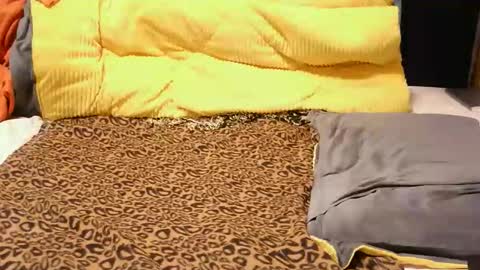 Snapshot of ashlery_ chatting on November 17, 4:18 am ashlery online show from November 17, 4:18 am