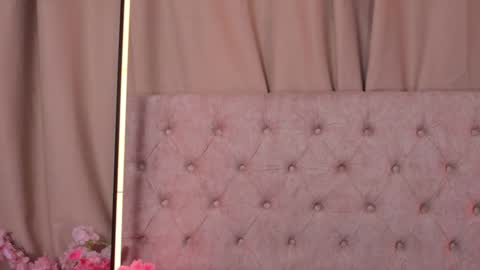 Snapshot of ashleyvalirya chatting on January 20, 6:53 am Ashley Lauren online show from January 20, 6:53 am