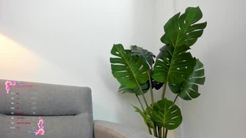 ashllovee online show from January 23, 4:09 am