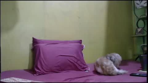 Snapshot of asianmhay24 chatting on August 1, 5:07 am Mhay online show from August 1, 5:07 am