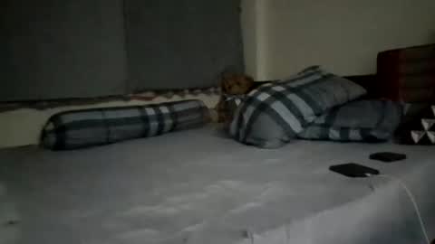 Snapshot of asianthai chatting on September 21, 9:27 pm asianthai online show from September 21, 9:27 pm