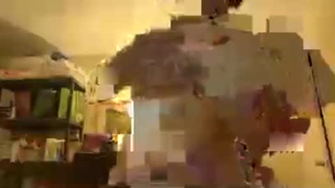 Patty online show from November 30, 3:32 am