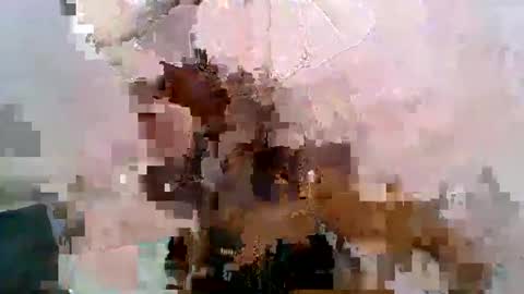 aurelia107 online show from May 31, 3:08 pm