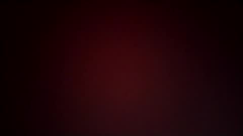 Lex online show from January 25, 10:50 pm