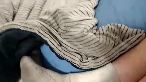 Lex online show from October 14, 4:24 am