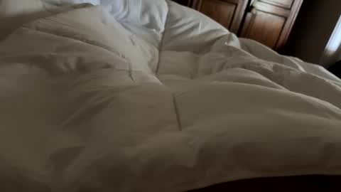 aussieguy1584 online show from February 21, 10:55 pm