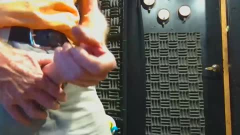 aussieraz online show from November 4, 8:02 am