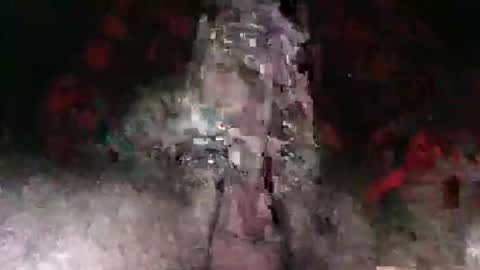 Snapshot of autofellatioadept chatting on December 4, 5:06 am Adept online show from December 4, 5:06 am