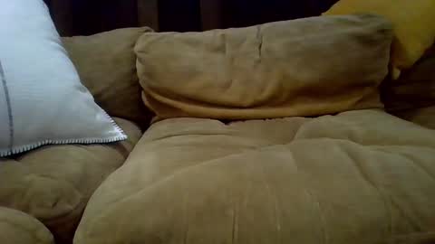 Snapshot of averagecock696969 chatting on February 23, 6:17 am averagecock696969 online show from February 23, 6:17 am