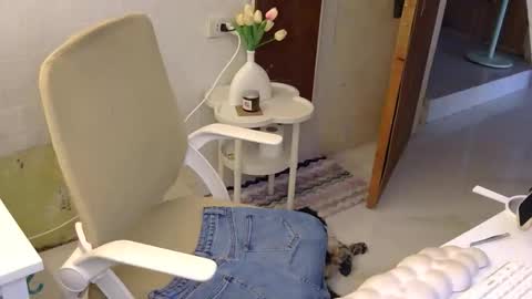 Rhian online show from November 21, 3:05 am