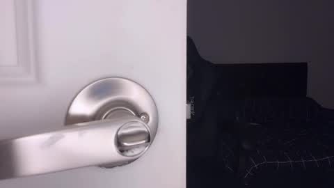 Snapshot of ayacolada chatting on March 7, 8:00 am Aya online show from March 7, 8:00 am