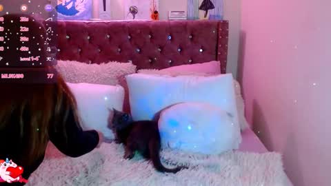 Snapshot of azamy_12 chatting on December 24, 4:55 am Amanda online show from December 24, 4:55 am