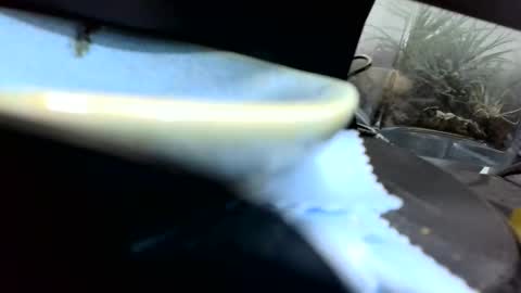 b1234567893 online show from April 26, 1:25 am