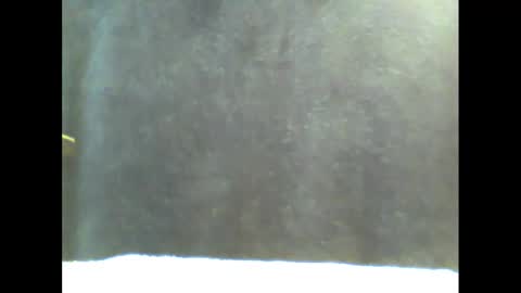 Snapshot of b1gg9inch chatting on January 20, 11:02 am b1gg9inch online show from January 20, 11:02 am