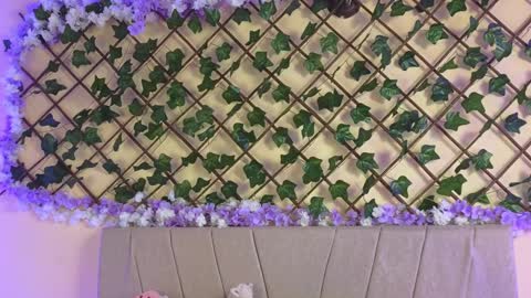 Snapshot of baby_xian chatting on December 19, 2:45 am  Dani  online show from December 19, 2:45 am